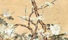 2020年5月23号闰四月初一出生的人性格命运解析，五行八字查询