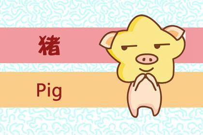 属猪5月生命运怎么样 运势好吗