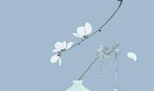 生肖属狗的妈妈和什么生肖属相的小孩是三合，狗与虎、马三合