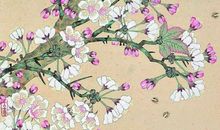 2020年3月4号二月十一生的女孩是什么命，起什么名字吉祥