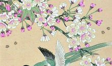 2020年3月5号二月十二生的女孩是什么命，起什么名字有福气