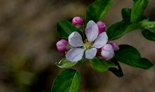 未来三个月运势上上签，横财多见，大运临门，日子乐淘淘的四属相