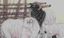 2020四面有财运，出门遇伯乐，家中满堂彩，马上有钱的3生肖