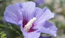 在2月份，历经磨难，不屈不挠，破茧成蝶的三大星座