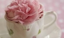 说说那大女人主义的星座女