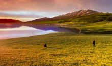 杨柳木命最怕什么，属性剑锋金