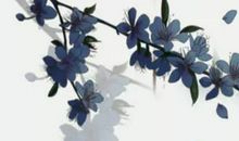 2020年12月14号出生的男孩起什么名字有涵义，五行属什么