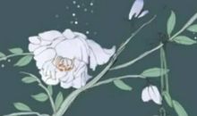 2020年12月15号出生的男孩怎么起名字，五行属什么