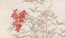 2020年4月29号四月初七出生的人性格命运解析，五行八字查询