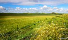 3月27日起，出人头地，日子不难，前途一片光明的四个生肖