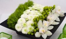 10月23日生肖运势，偏财星会非常眷顾你，让你获得意外之财