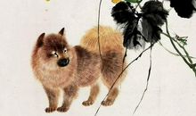 10.23—10.29生肖周运势：狗、兔、马、虎，你们喜事多哦！