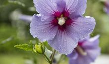 2月起，邂逅贵人，好运全开，摆脱困境的三大星座