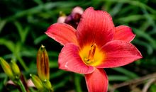 3月苦尽甘来，4月横财大旺，日子富足的4大生肖