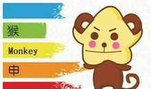 1956年属猴是什么命 命运发展怎么样