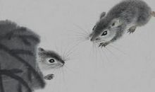 2020年属鼠人本命年可以订婚吗，有什么禁忌？