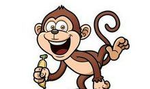 属猴男2020年运势，2020年生肖猴运势大全