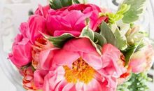 2020年5月和6月生肖属狗和生肖属狗订婚黄道吉日查询