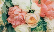 2020年农历五月,六月和七月生肖属鼠和生肖属蛇哪几天订婚好