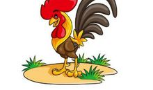 生肖鸡男人与其他属相女人结合的婚姻状况如何，好不好？