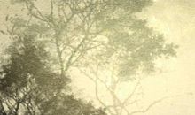 测试你未来的伴侣是喜欢阅读的人吗