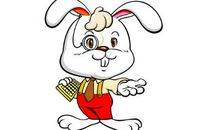 生肖兔女与其他属男人结合的婚姻状况如何，好不好？