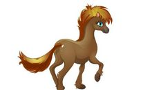 生肖马男人与其他属相女人结合的婚姻状况如何，好不好？