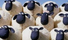 今年属羊的人多少岁,属羊的2020年几岁了