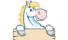 生肖马女人与其他属相男人结合的婚姻状况如何，好不好？