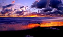 2020年三月底，五生肖鸿运当头，吉星高照，事业扶摇直上