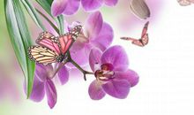 这三大生肖人，未来三个月，做什么都很顺，轻轻松松赚大钱！