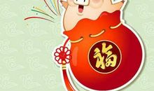 今年属猪的人多少岁,属猪的2020年几岁了