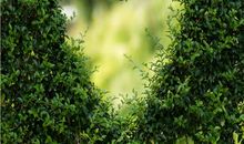 12星座傲娇属性排行，只能哄着？