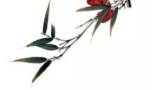 生肖属鼠妈妈和生肖属鼠爸爸跟什么生肖属相的孩子不合