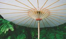 从三月底开始，职场春风得意，财运顺心如意，运势大开的四生肖