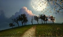 结婚越久，越爱粘着老婆，最离不开爱人的三生肖男，尤其是生肖牛