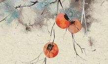 2020鼠年生肖属狗人的事业运，迎来升职加薪