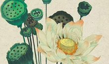 2020鼠年生肖属猪人的事业运，吉利年，发财的机会很多