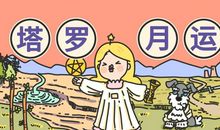 小巫二月塔罗运势［详细版］事业运、爱情运、财富运、健康运，你关心的都在这里！