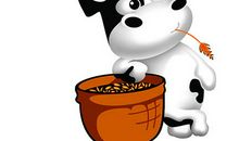 1997年属牛女在2020年的24岁的运势怎么样