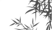 2020年2月19号正月二十六出生的女孩是什么命，如何起名字吉祥