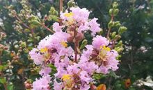 11月16号起遍地横财，财运大发生肖，事业旺达，家庭和睦顺心