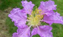 财运涨百倍，中大奖发横财的生肖，11月下旬财通八达，成人生赢家