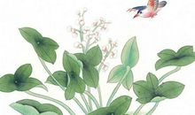 2020年2月18号正月二十五出生的女孩命好不好，起什么名字福气好