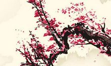 2020年2月17号正月二十四出生的女孩是什么命，如何起名字吉祥