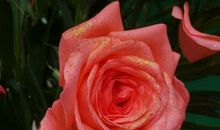 11月霉运褪尽，贵人不请自来的生肖，富贵如意，想不发财都难