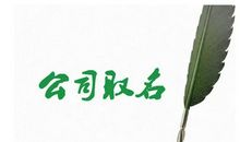 公司起名数理计算方法，一步算出名字好坏