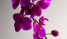 11月下旬抓住机会必能翻身的生肖，求财顺心，钞票说来就来