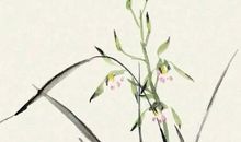 2020年农历六月十一出生的男孩怎么起名字，五行属什么