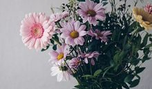 小心！开扒12生肖男的出轨征兆